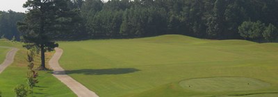st andrews hole view 3.jpg