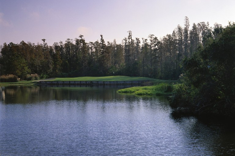 Tampa Area: Se Vende Golf Course en Zona Rural en Tampa
